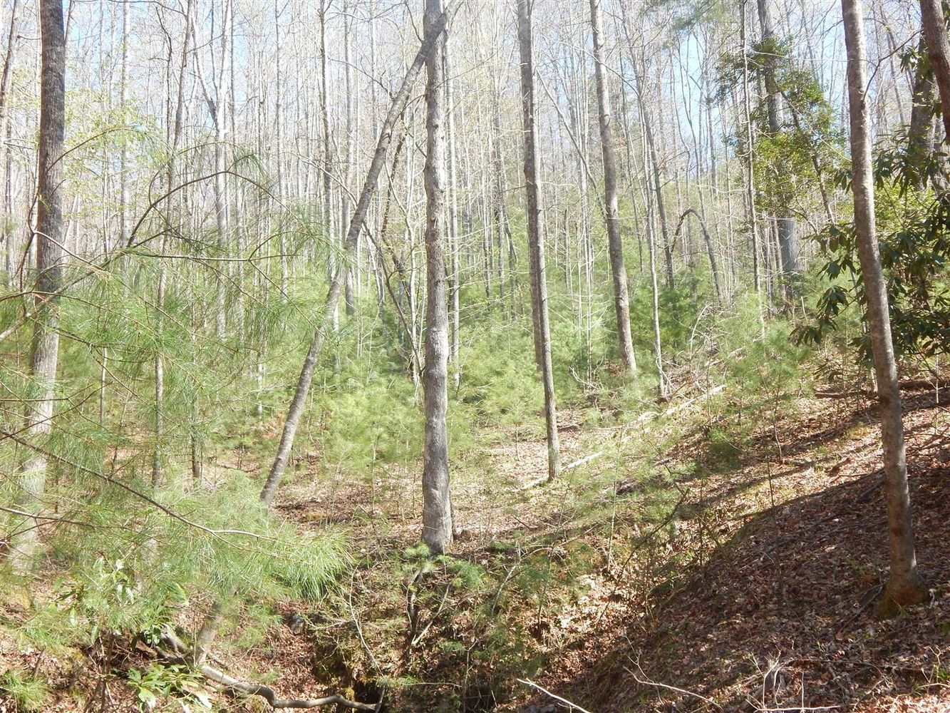0 Furman Drive, Hendersonville, NC 28739